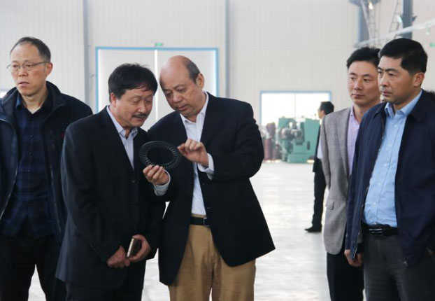 安徽大學專家和縣領(lǐng)導一行調(diào)研電機生產(chǎn)線